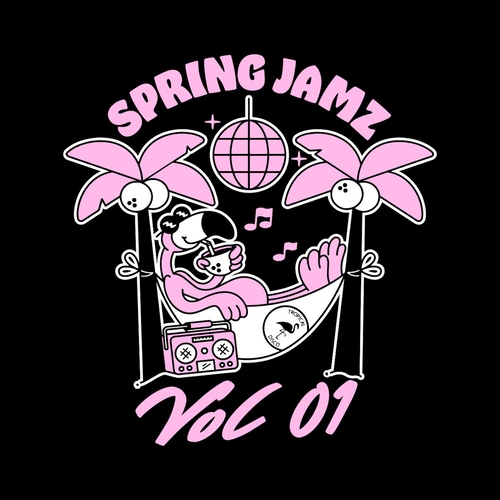 VA - Spring Jamz Vol 1 [TDRCOMP004]